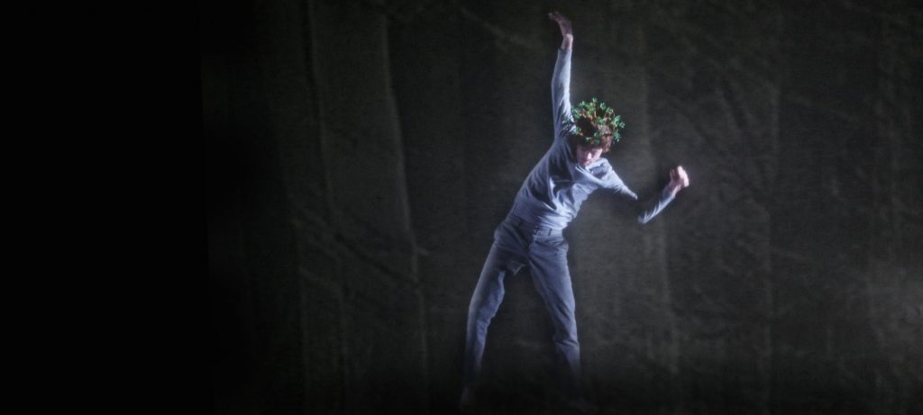 la_foret_ebouriffee_patrick_berger